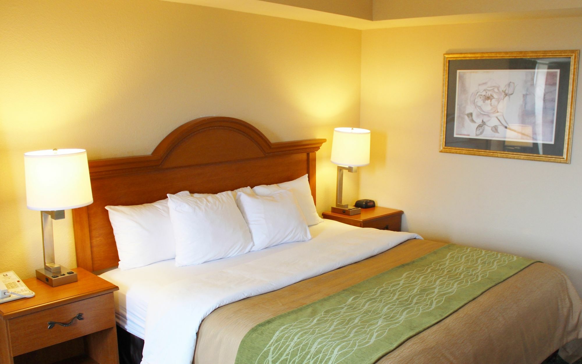 Comfort Inn & Suites St Louis - Chesterfield Exterior foto